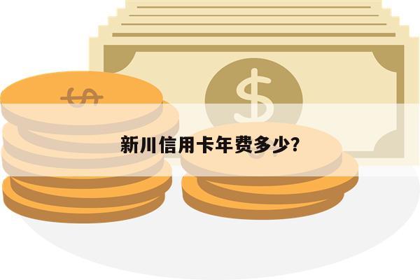 新川信用卡年费多少?