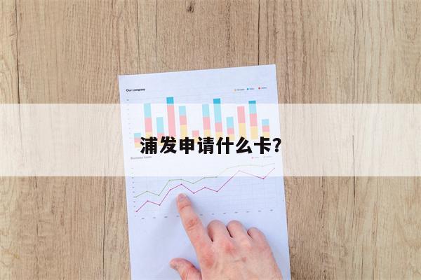 浦发申请什么卡?