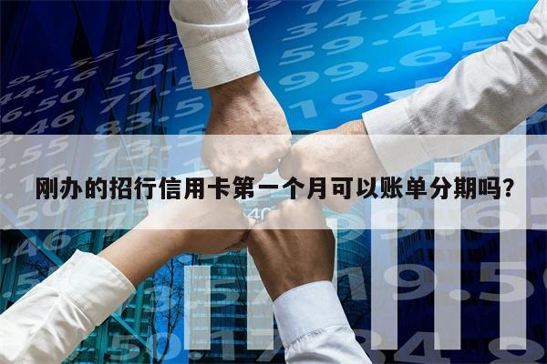 刚办的招行信用卡第一个月可以账单分期吗?