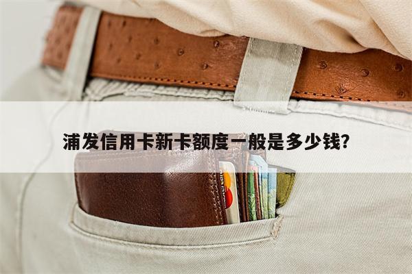 浦发信用卡新卡额度一般是多少钱?