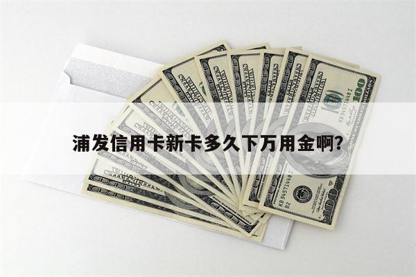 浦发信用卡新卡多久下万用金啊?
