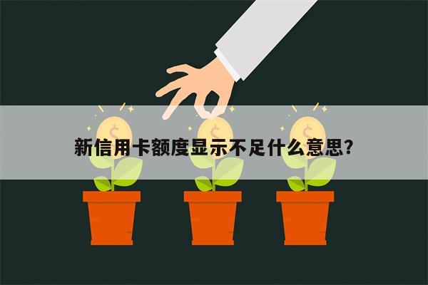 新信用卡额度显示不足什么意思?