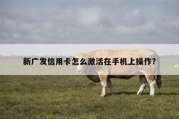 新广发信用卡怎么激活在手机上操作?