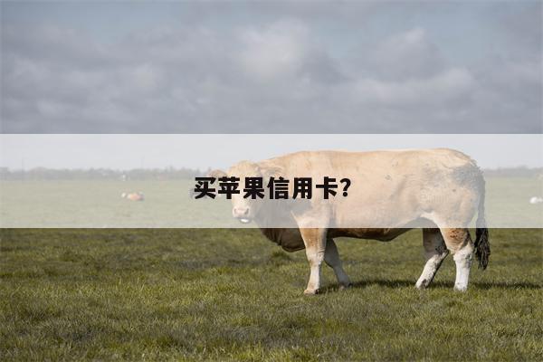 买苹果信用卡？