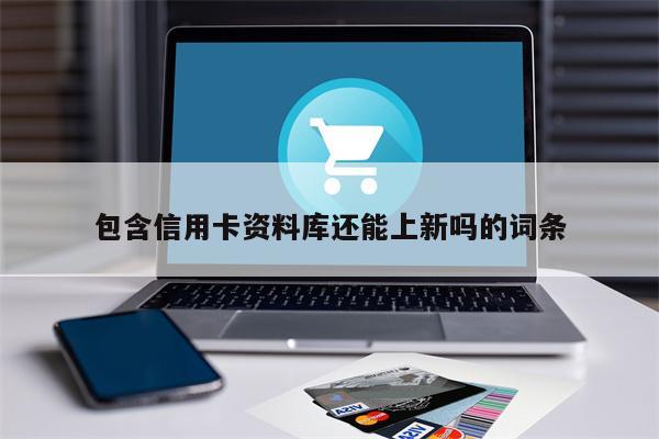 包含信用卡资料库还能上新吗的词条