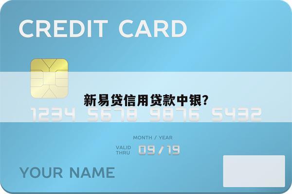 新易贷信用贷款中银？