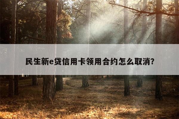 民生新e贷信用卡领用合约怎么取消?