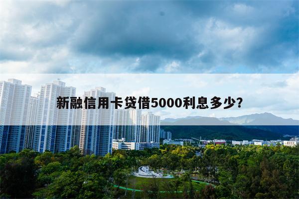 新融信用卡贷借5000利息多少？