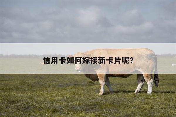 信用卡如何嫁接新卡片呢?