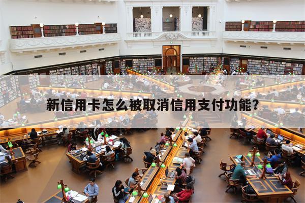 新信用卡怎么被取消信用支付功能？