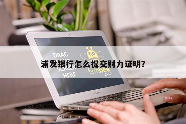 浦发银行怎么提交财力证明？