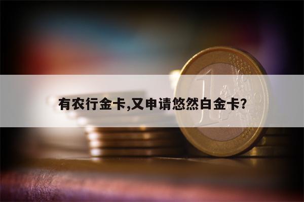 有农行金卡,又申请悠然白金卡?