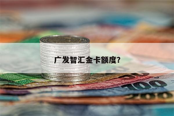 广发智汇金卡额度?
