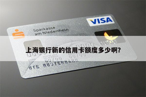 上海银行新的信用卡额度多少啊？