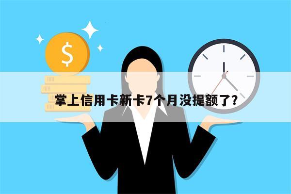 掌上信用卡新卡7个月没提额了?