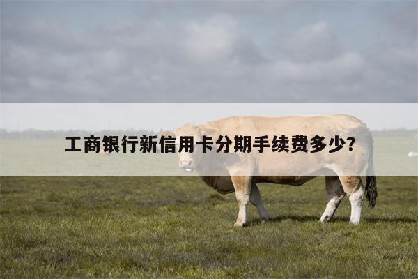 工商银行新信用卡分期手续费多少？