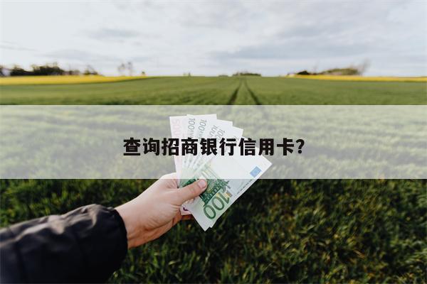查询招商银行信用卡？