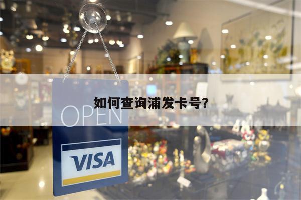如何查询浦发卡号？