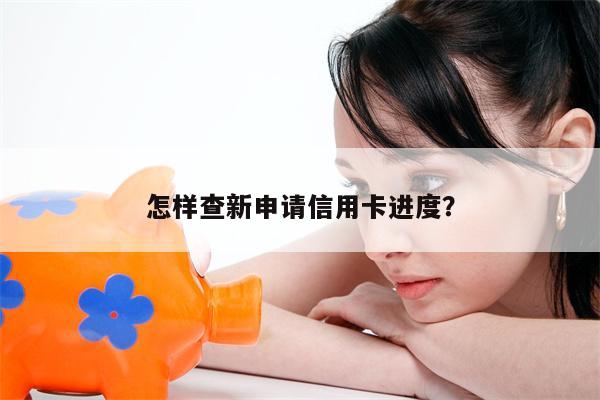 怎样查新申请信用卡进度？