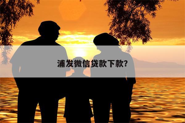 浦发微信贷款下款？