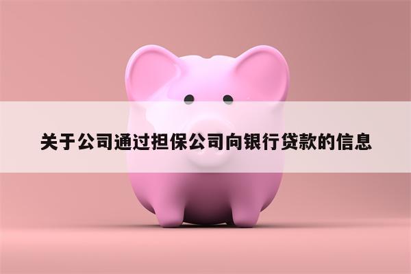 关于公司通过担保公司向银行贷款的信息
