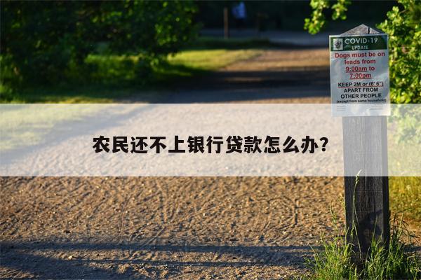 农民还不上银行贷款怎么办?