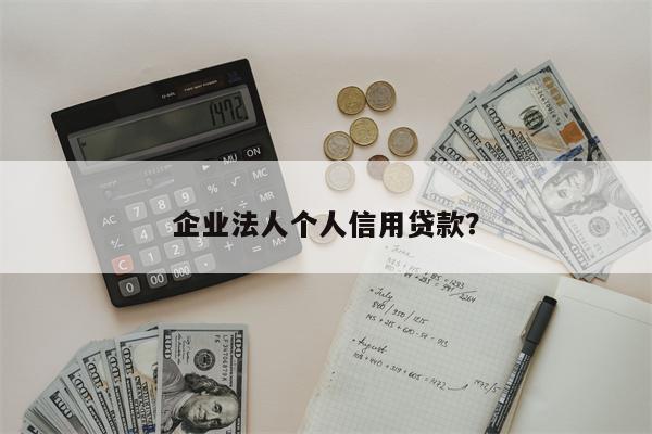 企业法人个人信用贷款?