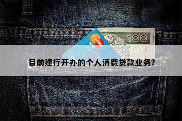 目前建行开办的个人消费贷款业务?