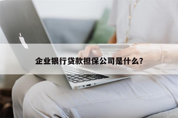 企业银行贷款担保公司是什么?