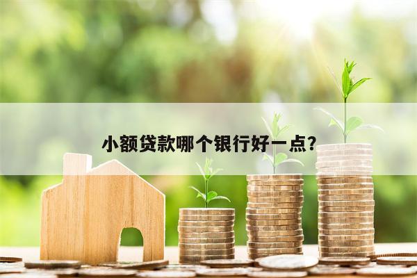 小额贷款哪个银行好一点?