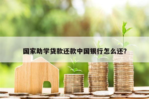 国家助学贷款还款中国银行怎么还?