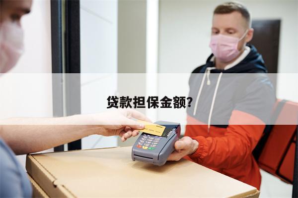 贷款担保金额?