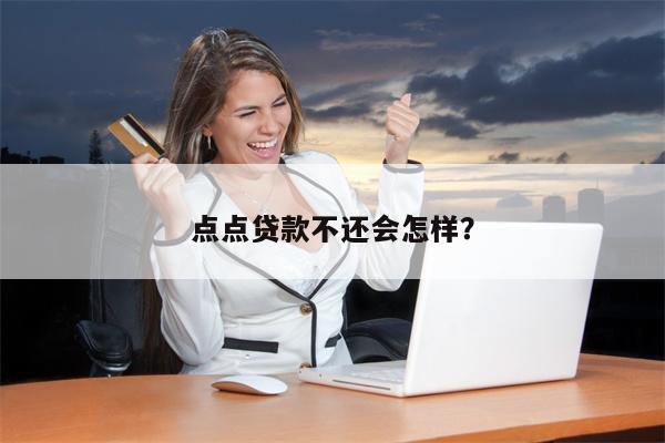 点点贷款不还会怎样?