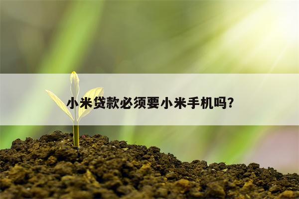 小米贷款必须要小米手机吗?
