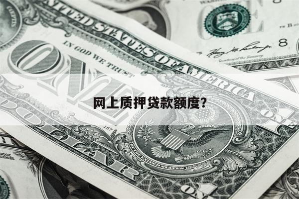 网上质押贷款额度?
