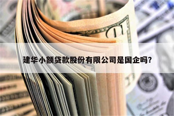 建华小额贷款股份有限公司是国企吗?