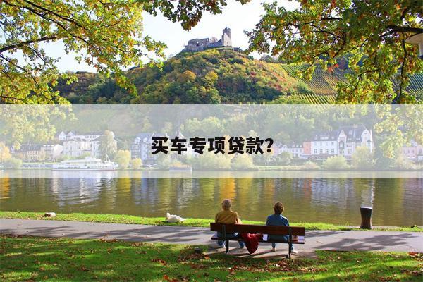 买车专项贷款?