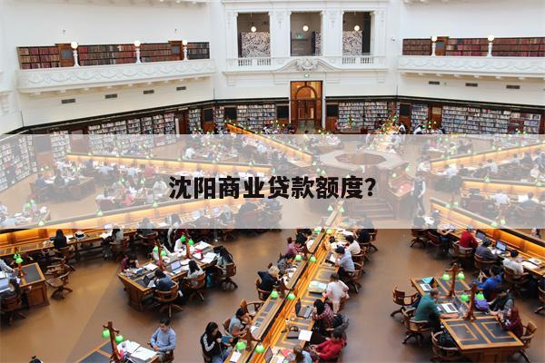 沈阳商业贷款额度?