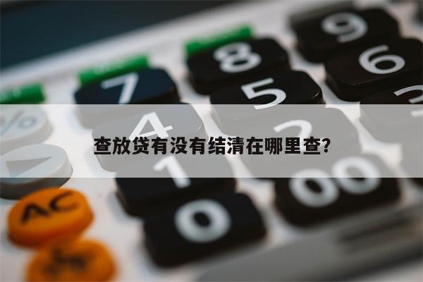 查放贷有没有结清在哪里查?