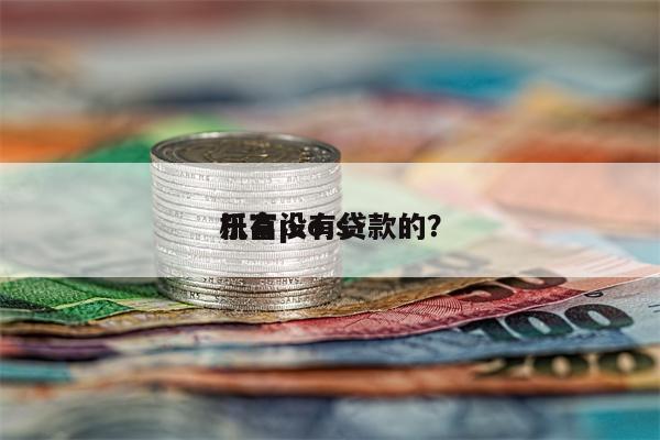 乐富p.o.s
机有没有贷款的?