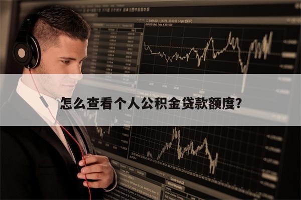 怎么查看个人公积金贷款额度?