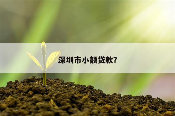深圳市小额贷款?