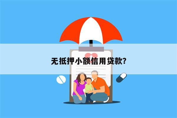 无抵押小额信用贷款?