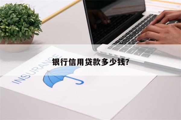 银行信用贷款多少钱?
