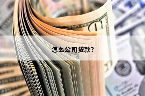 怎么公司贷款?