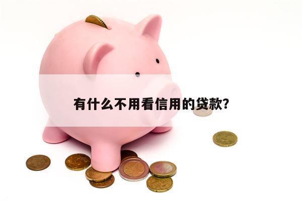 有什么不用看信用的贷款?