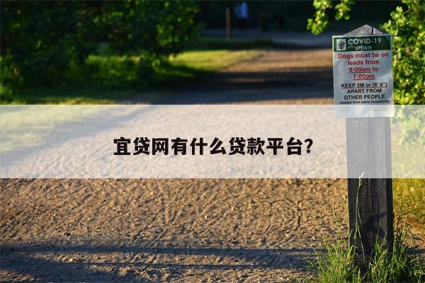 宜贷网有什么贷款平台?