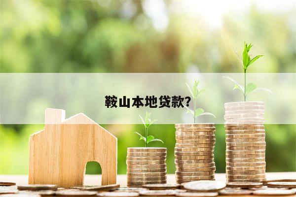鞍山本地贷款?