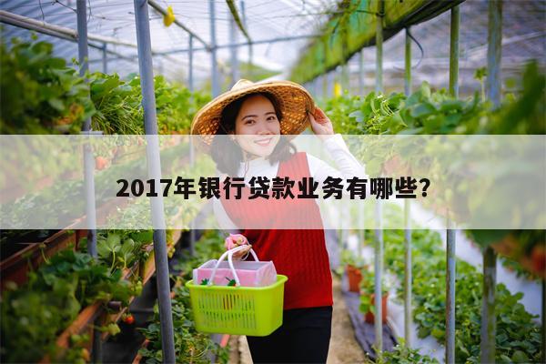 2017年银行贷款业务有哪些?