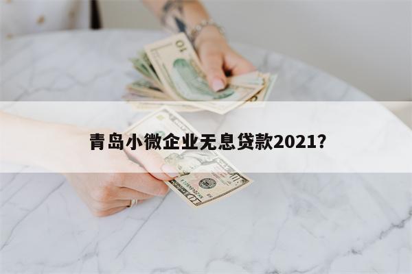 青岛小微企业无息贷款2021?